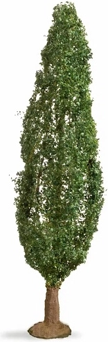 Noch populier (Master Tree) 18 cm