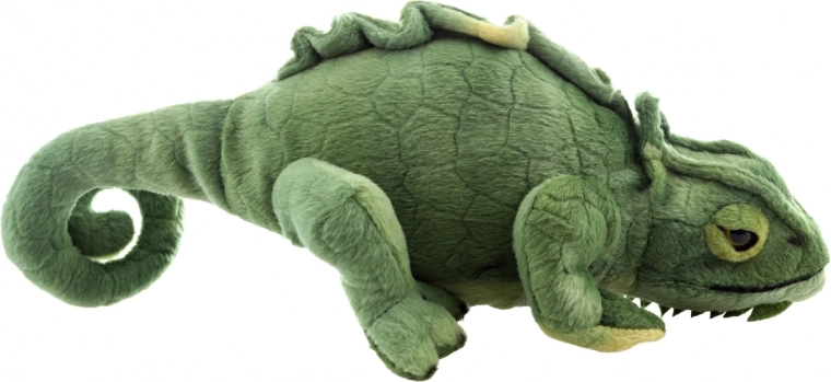 Realistische look van de kameleon