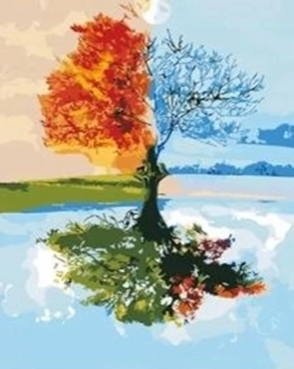 Norimpex schilderen op nummer Boom vier seizoenen 40 × 50 cm