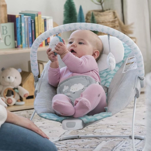 Afneembare speelboog met 2 pluchen speeltjes