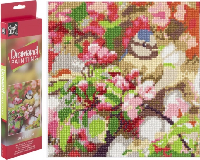 diamantschilderen koolmees op tak 30 × 30 cm