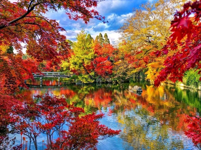 Diamantschilderen Park in de herfst 40 × 30 cm
