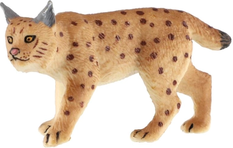 Kenmerkende eigenschappen van de lynx