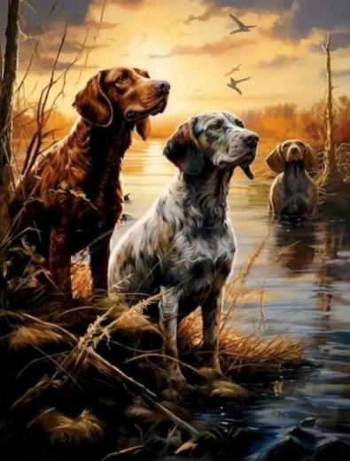 Schilderen op nummer Honden in de moerassen 40 × 50 cm NORIMPEX