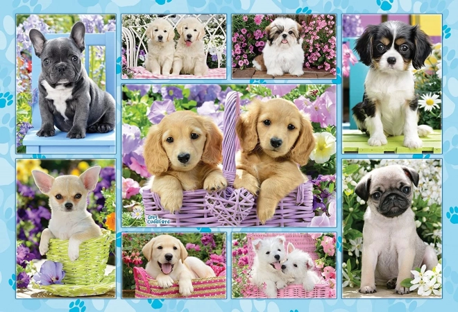 Puzzel puppy’s 200 stukjes SCHMIDT