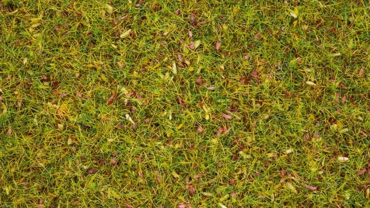Noch statisch gras Bloeiende weide 2,5 mm