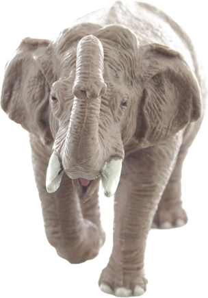 Ideaal formaat voor kinderhanden