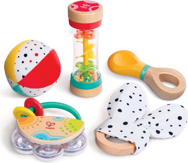 Hape 5-in-1 sensorische speelgoedset voor baby’s
