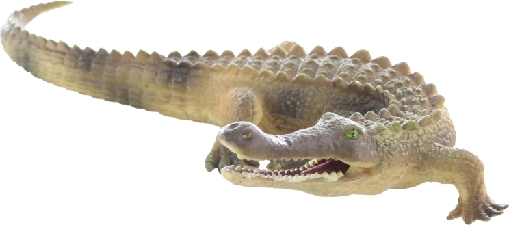 Ideale grootte voor kinderhanden