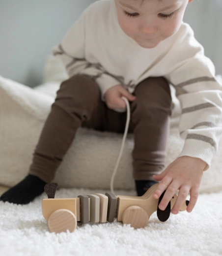 Mooi houten speelgoed voor de kinderkamer