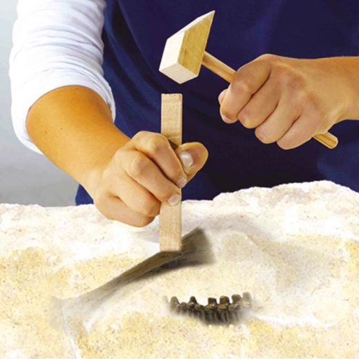 Opgraven als een echte paleontoloog
