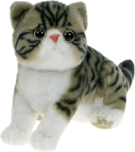 Pluchen exotische kat grijs-wit 26 cm