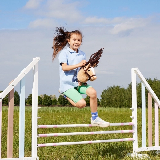 Voor spel en hobby horsing