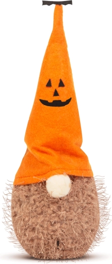 Schattig ontwerp met pompoenhoed