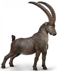 COLLECTA Wapiti