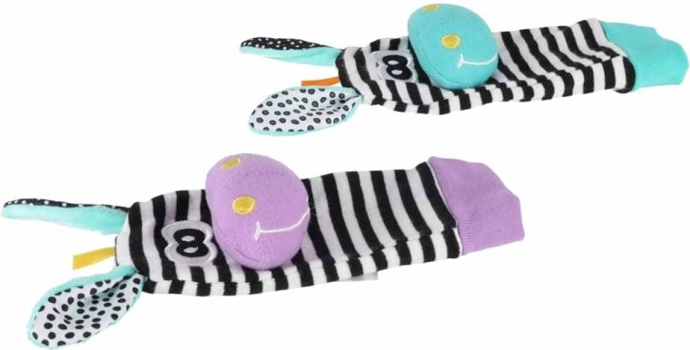 Contrasterende zebra’s voor zintuiglijke ontdekking
