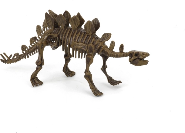 Archeologische set 3D Stegosaurus
