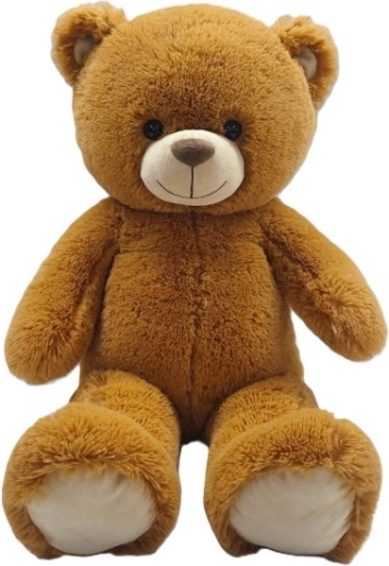 Nicotoy pluchen bruine teddybeer 60 cm