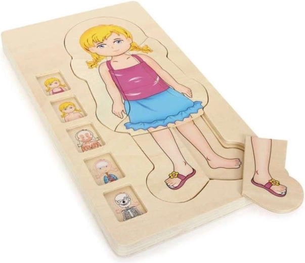 Houten gelaagde anatomiepuzzel van het meisjeslichaam