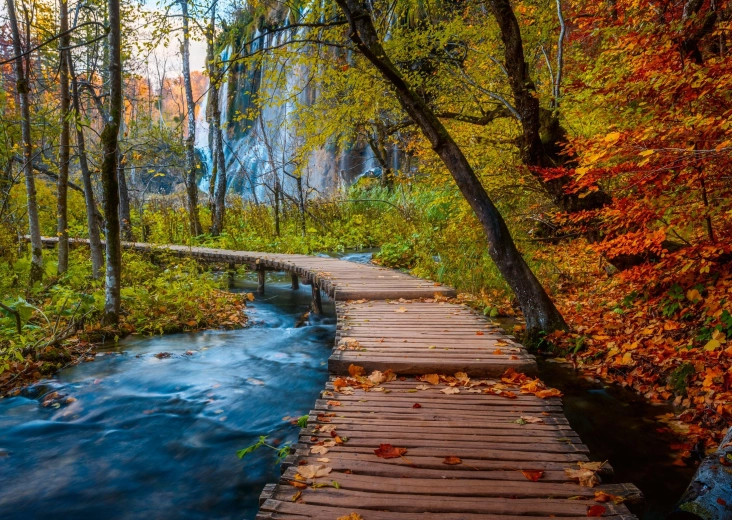 Ravensburger Puzzel Het mysterieuze bos 1.000 stukjes