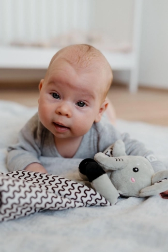 Rammelaar voor zintuiglijke ontwikkeling