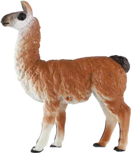 Karakteristieke bruin-witte kleurstelling
