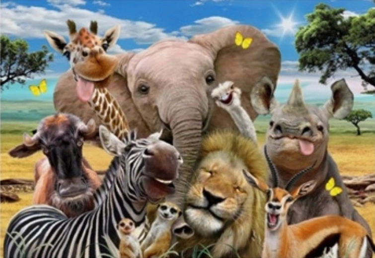 Norimpex schilderen op nummer Safari 40 × 50 cm