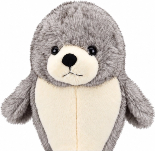 Schattig zeehondontwerp