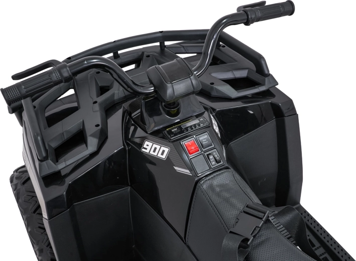 Ouderafstandsbediening 2,4 GHz met STOP