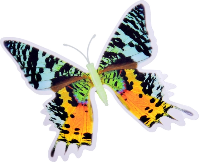 Eenvoudige toepassing en variabele plaatsing