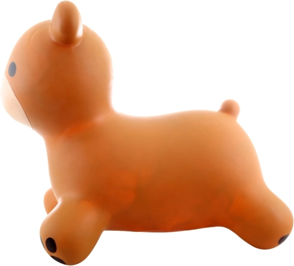 Eenvoudig op te pompen inclusief pompje