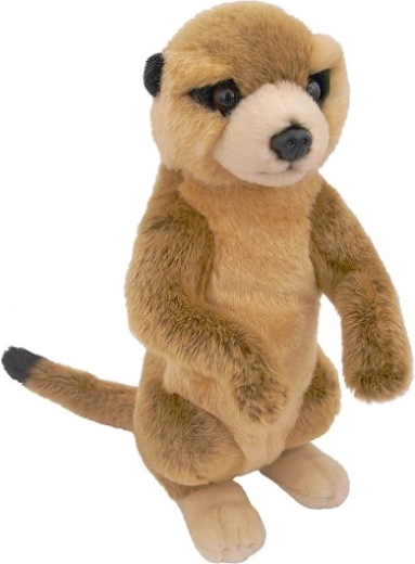 Grijze pluchen meerkat