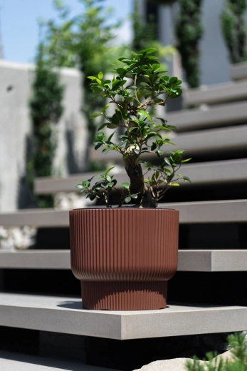 Praktische uitneembare inzet met handgrepen