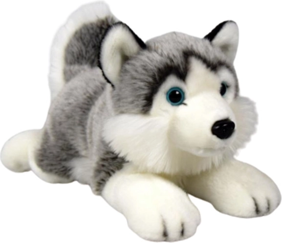 Pluchen huskyhond Dubi 27 cm