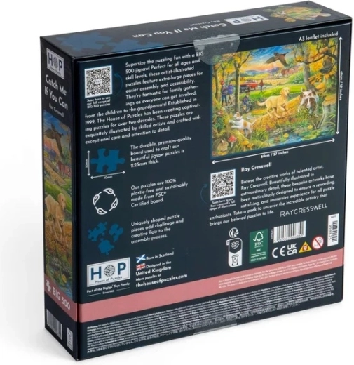 Grote afbeelding na het puzzelen
