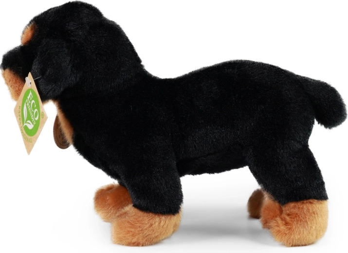 Onderdeel van RAPPA Exclusive Collection