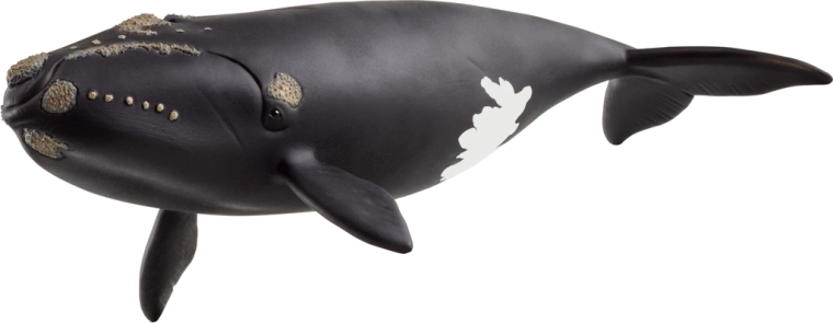 Schleich diertje – Noord-Atlantische walvis