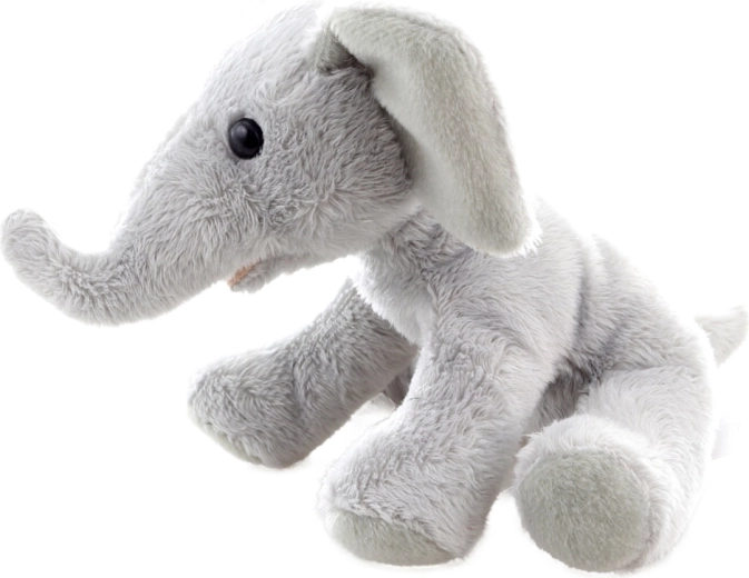 Compact formaat 15 cm