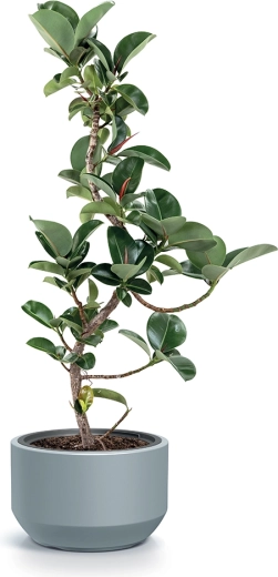 Bestendig materiaal voor buiten en binnen