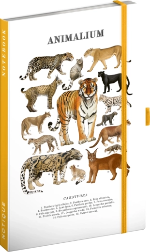 Notique Notes Animalium – katachtigen (gelijnd notitieboek) 13 × 21 cm