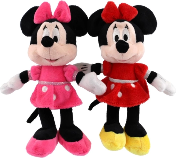 Leuk cadeau voor Disney-fans