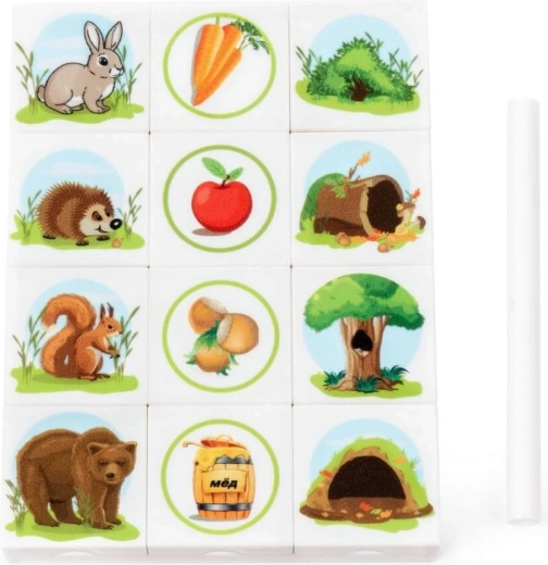 Heldere illustraties voor gemakkelijk begrip