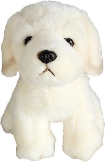 Pluchen golden retriever hond 19 cm