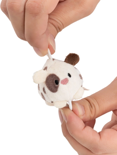 Mini formaat, maxi schattigheid