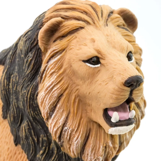 Realistische details van de leeuw