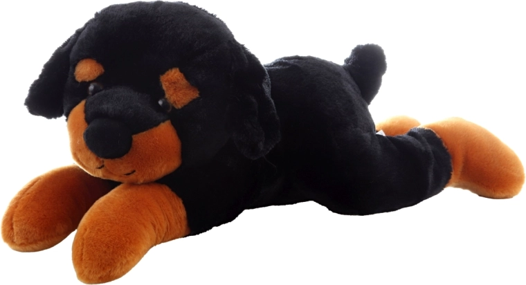 Veilig voor de allerkleinsten (0+)