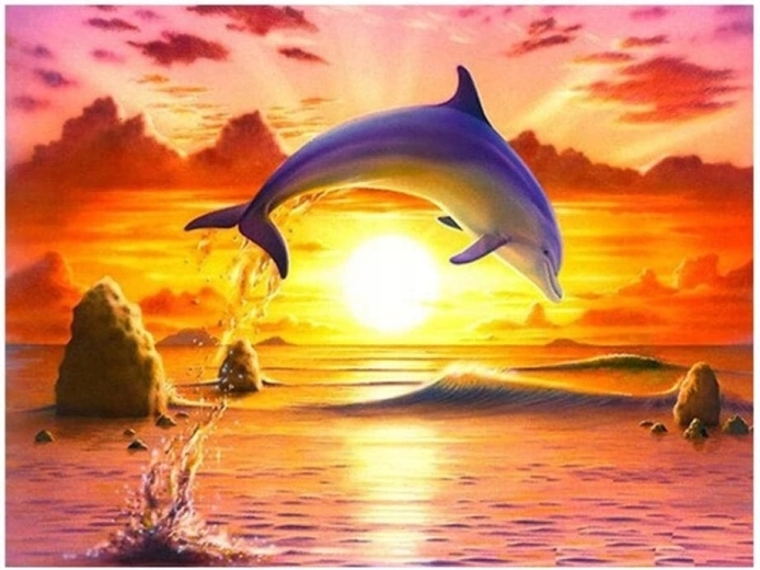 Norimpex Schilderen op nummer Springende dolfijn bij zonsondergang 40 × 50 cm