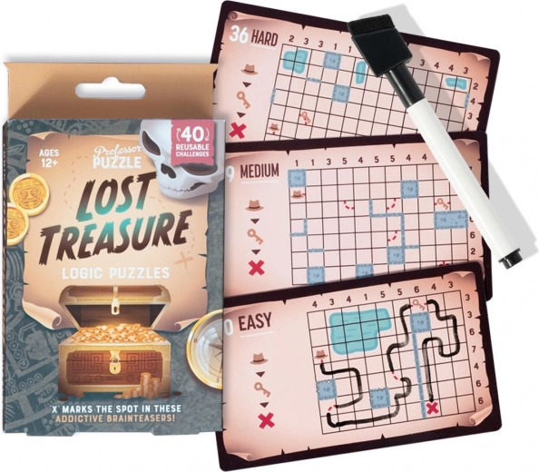 Professor Puzzle logicaspel Lost Treasure – puzzelset voor onderweg