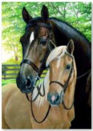 Diamantborduren (diamond painting) paarden 30 × 40 cm