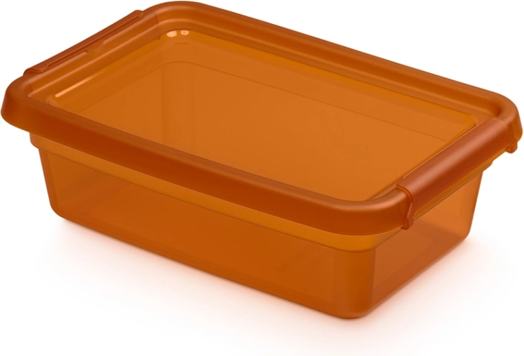 Basestore opbergbox met deksel en clips amber 3 l (19 × 28 × 9 cm)